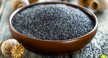 Semi di papavero: dei piccoli ingredienti per grandi benefici