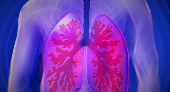 Scopri i 5 migliori amici vegani del sistema respiratorio