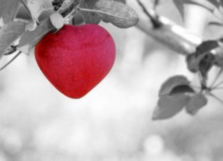 giornata mondiale del cuore