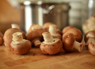 funghi