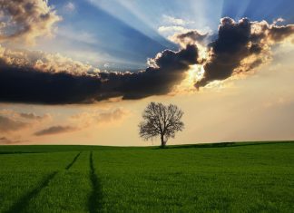 L’obesità aumenta più velocemente nelle zone rurali che nelle città obesità