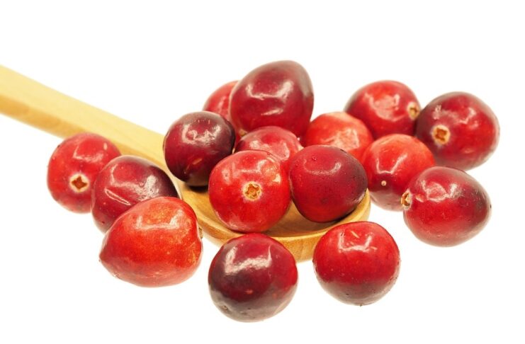 cranberry o mirtillo rosso