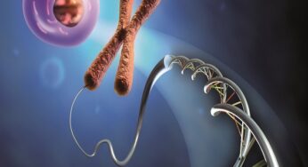 Epigenetica: un percorso verso la salute