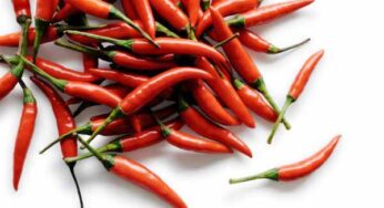 Il peperoncino in medicina: storia di un Nobel